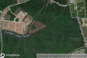 Sungai Pelait Kiri