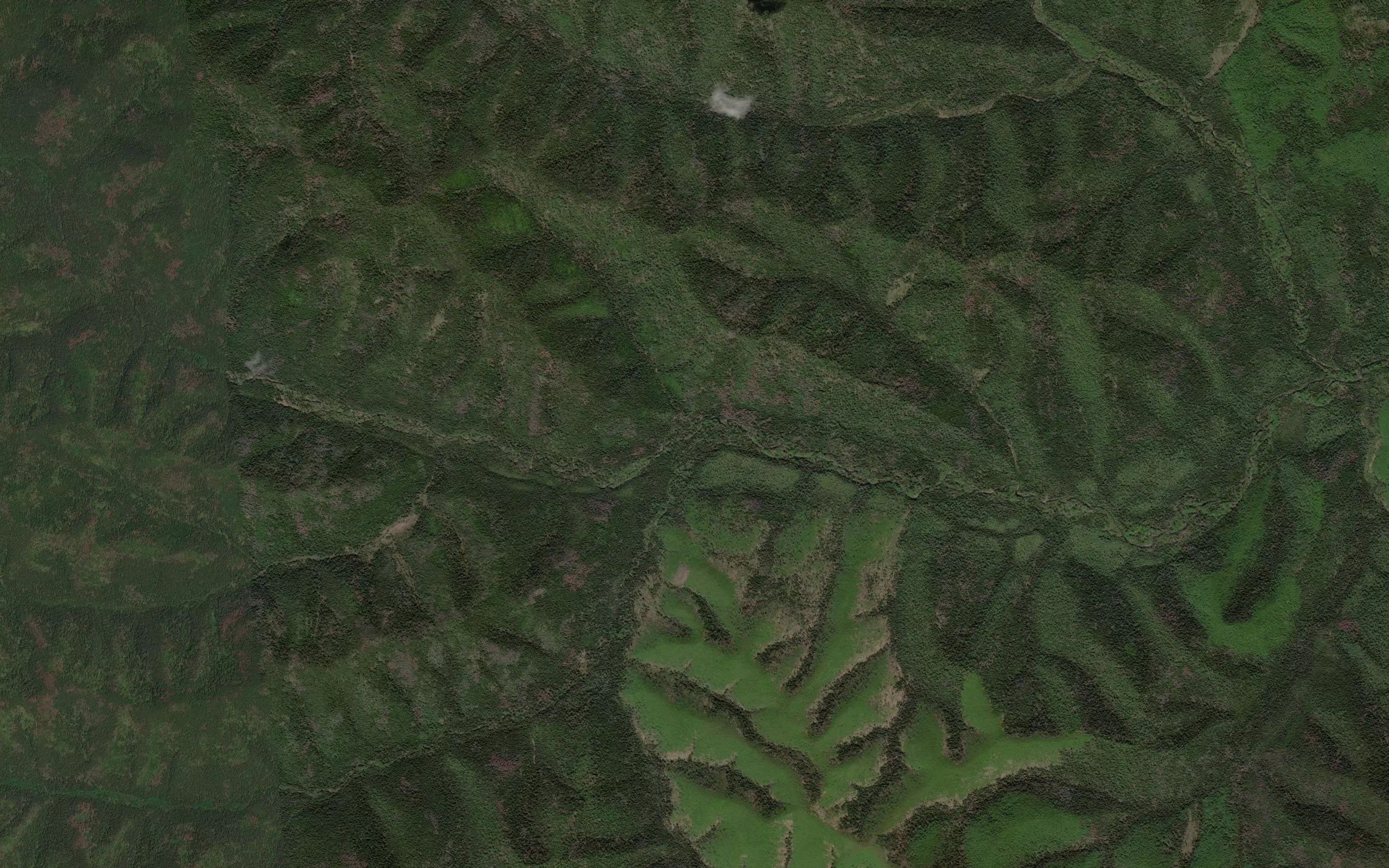 Malaya Bira