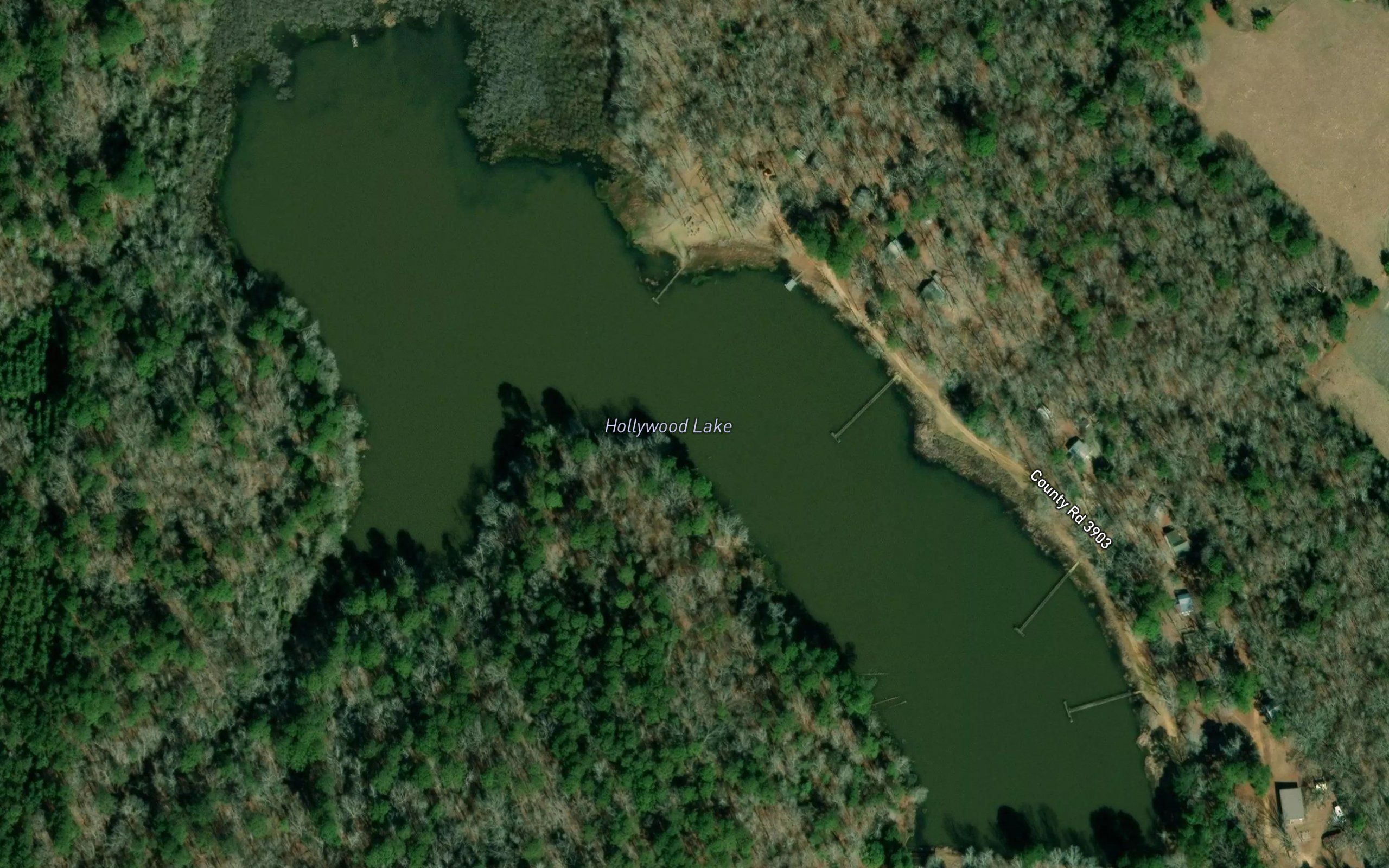 Hollywood Lake