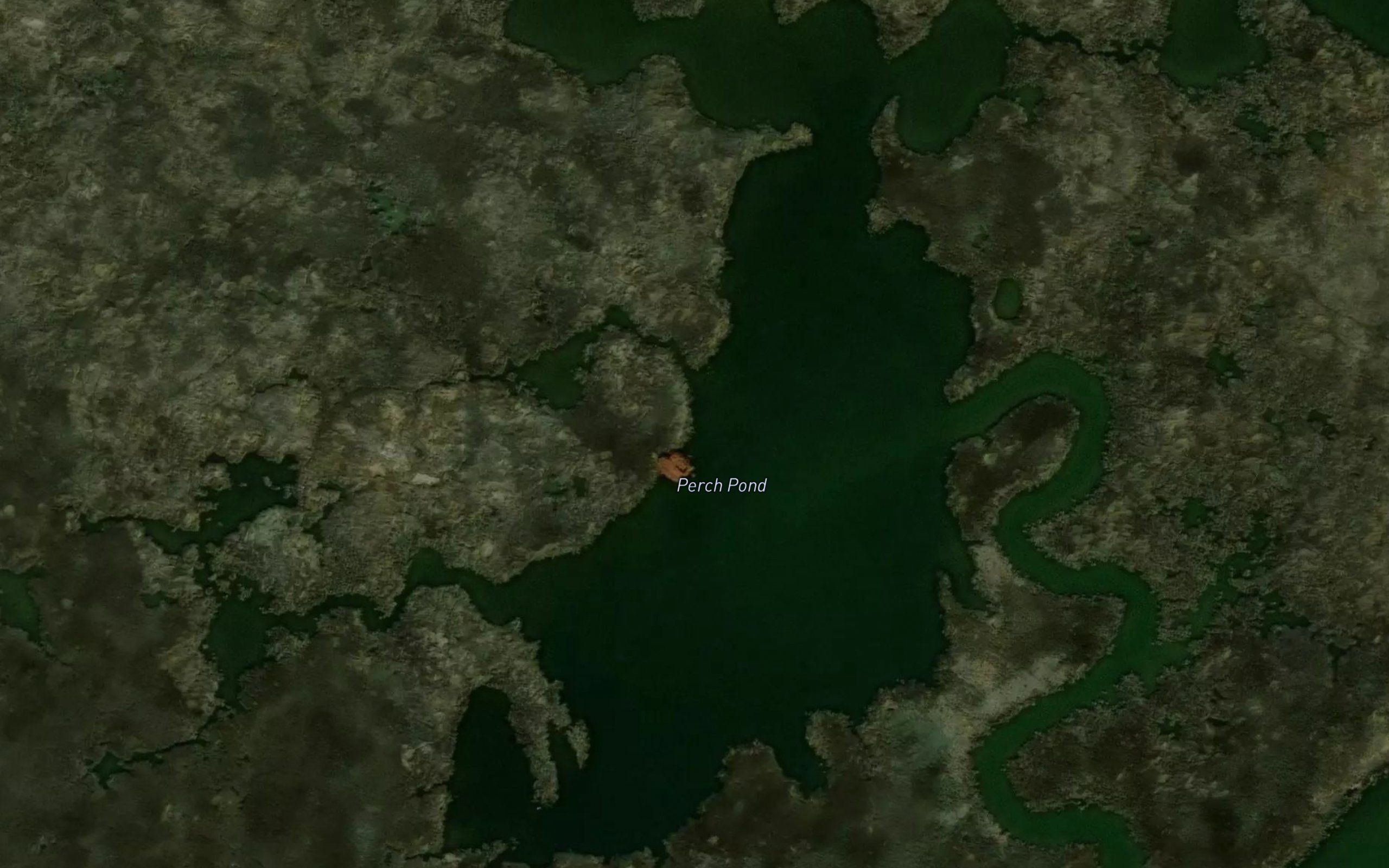Perch Pond