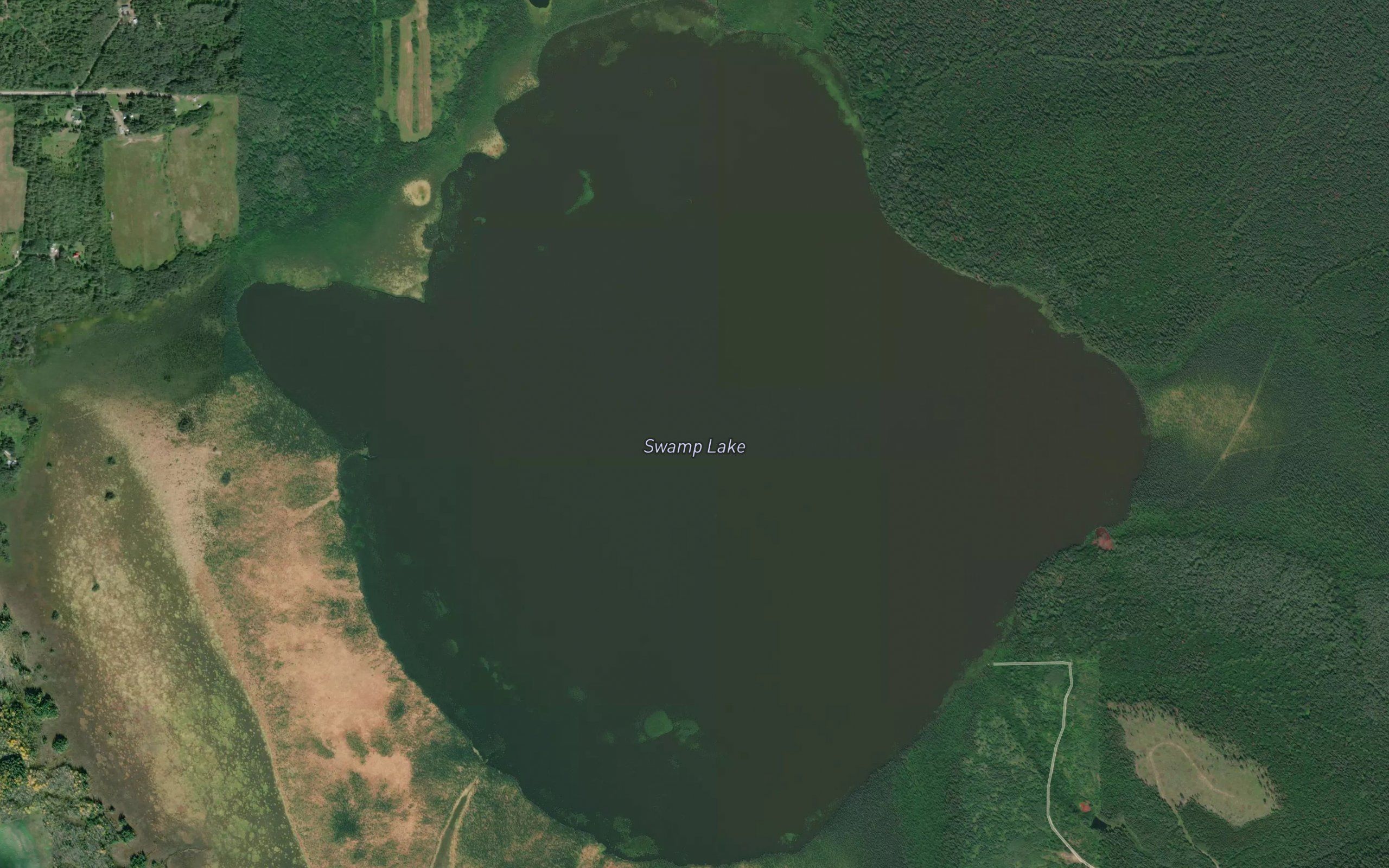 Swamp Lake