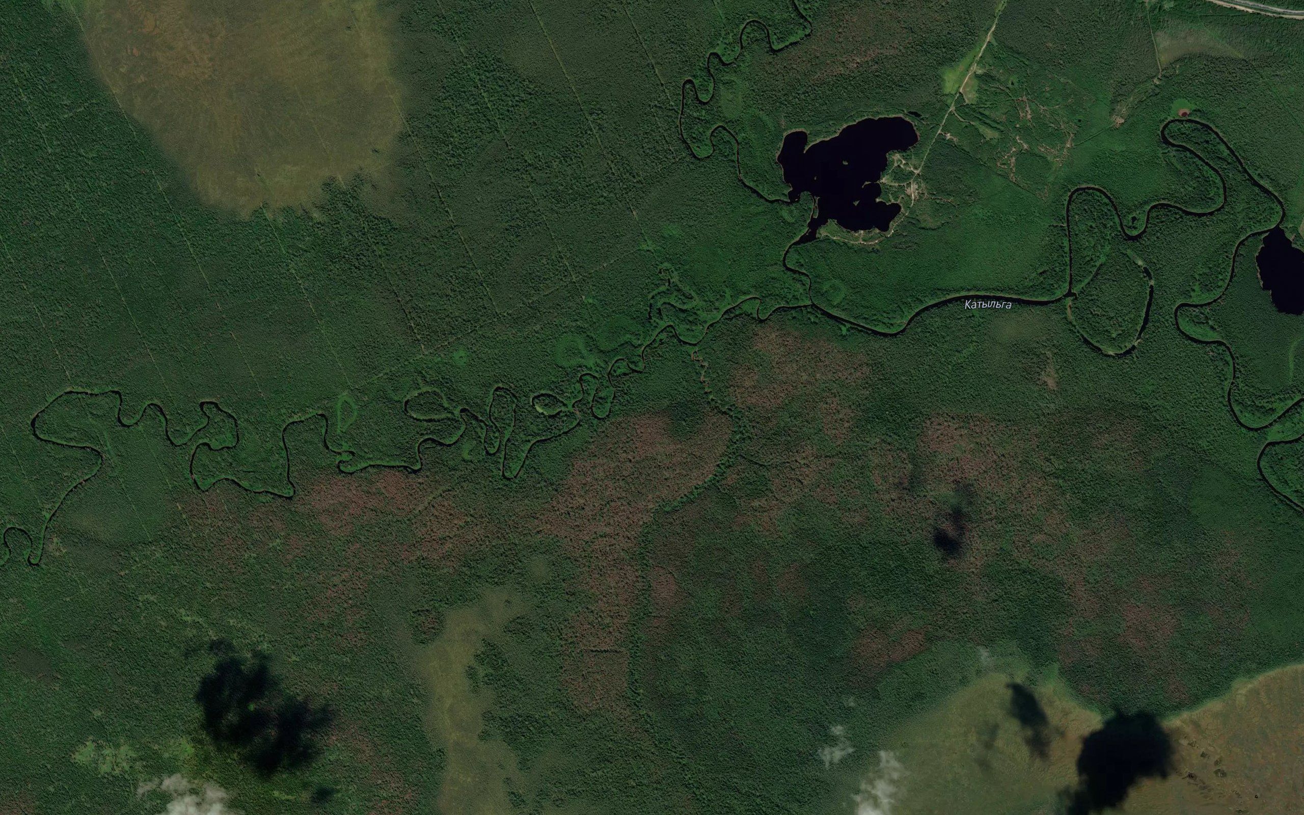 Pashkina
