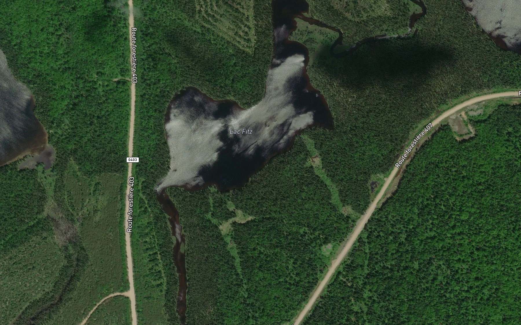 Satellite map of the Lac Fitz
