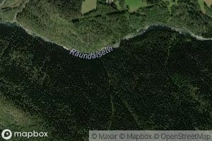 Haugsgjelgrovi