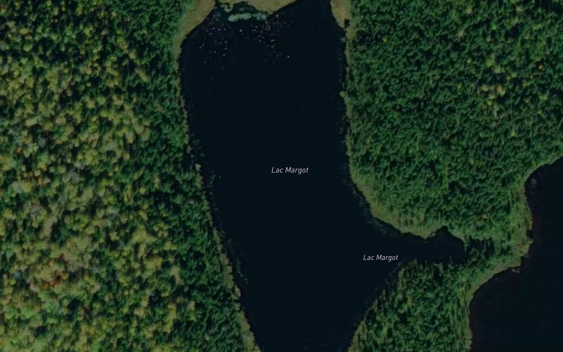 Satellite map of the Lac Margot