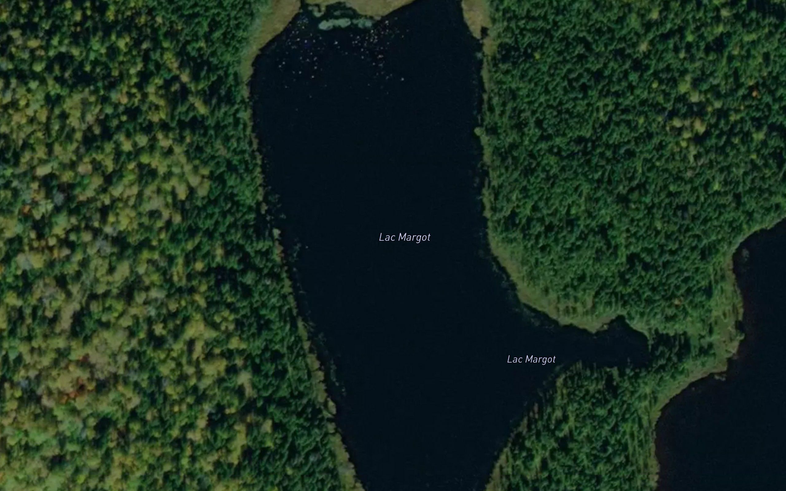 Lac Margot
