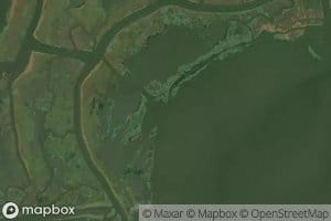 Cane Bayou