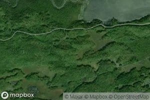 Sharbot Creek