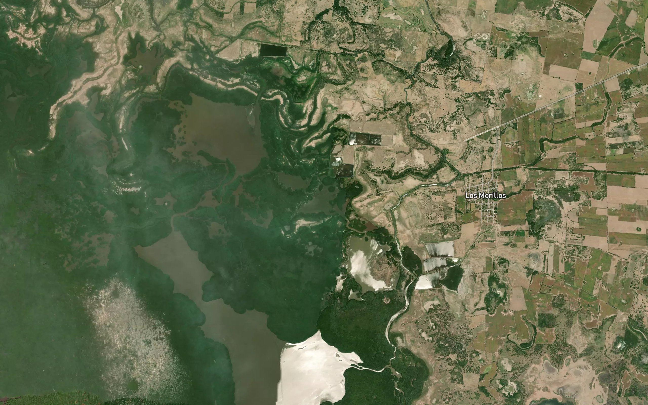 Laguna de Enmedio