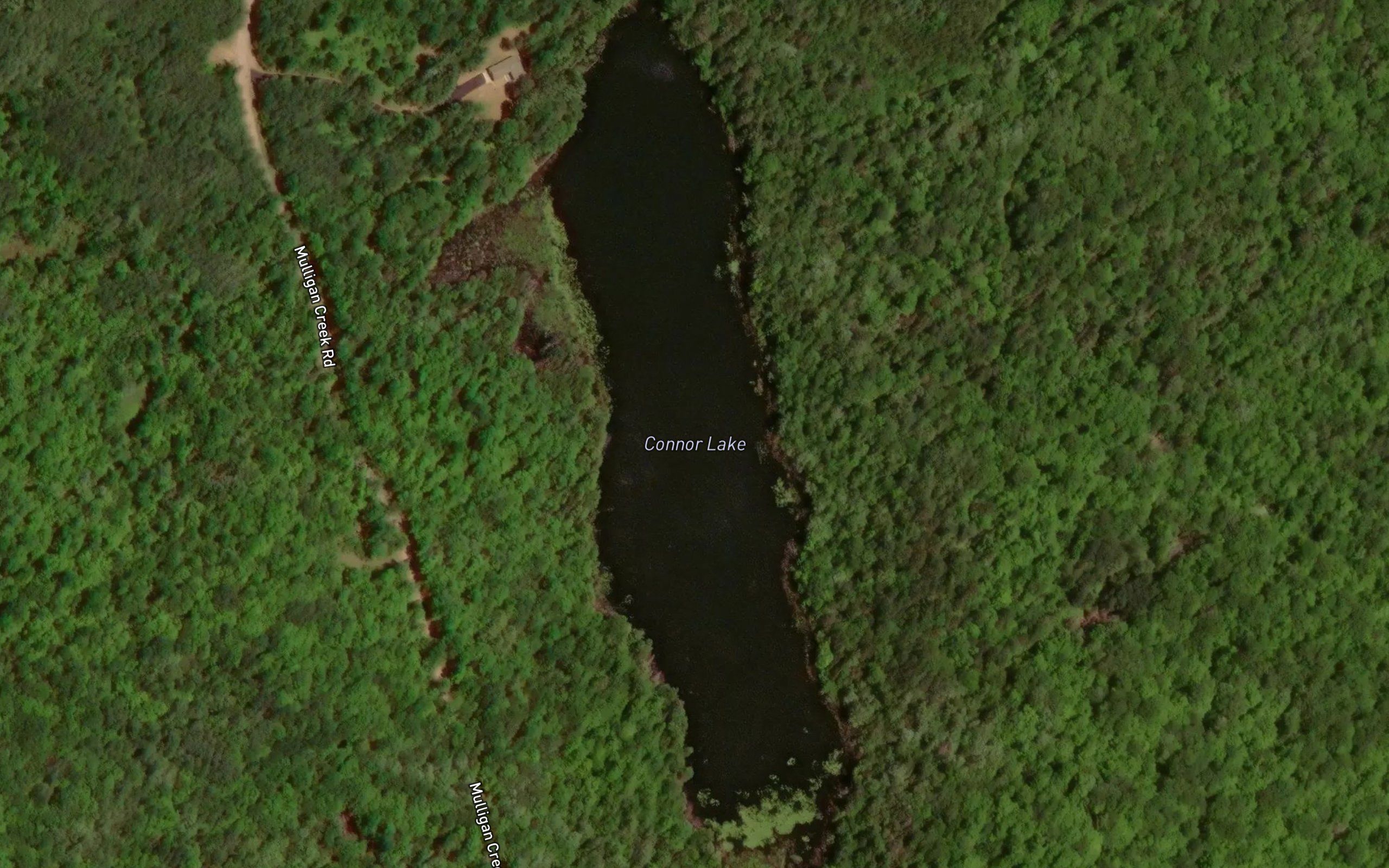 Connor Lake