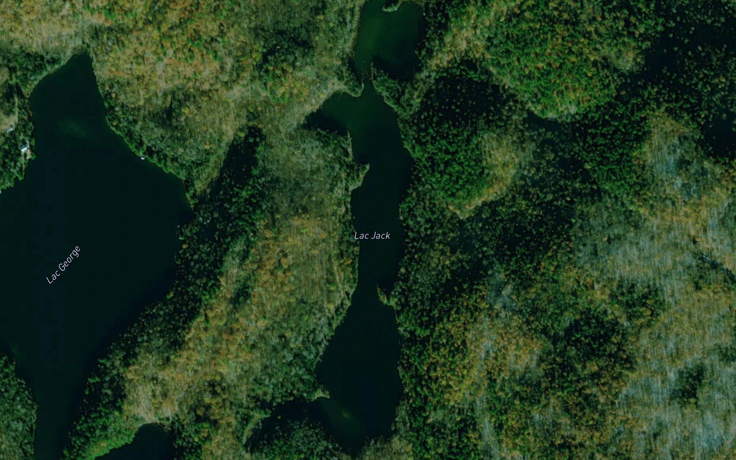 Lac Jack