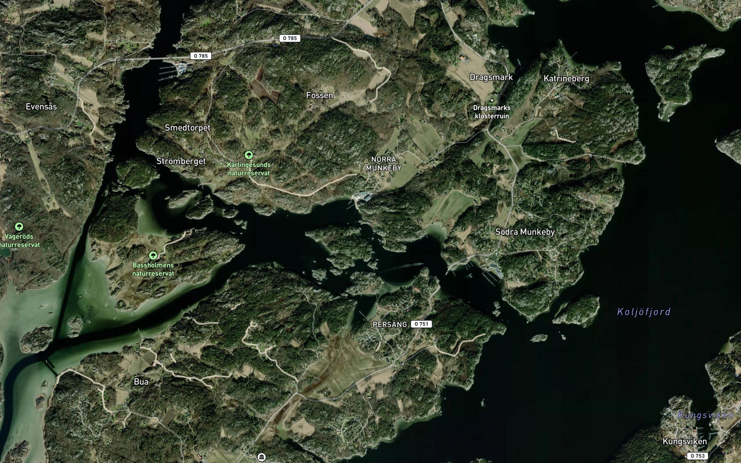 Flaskogat