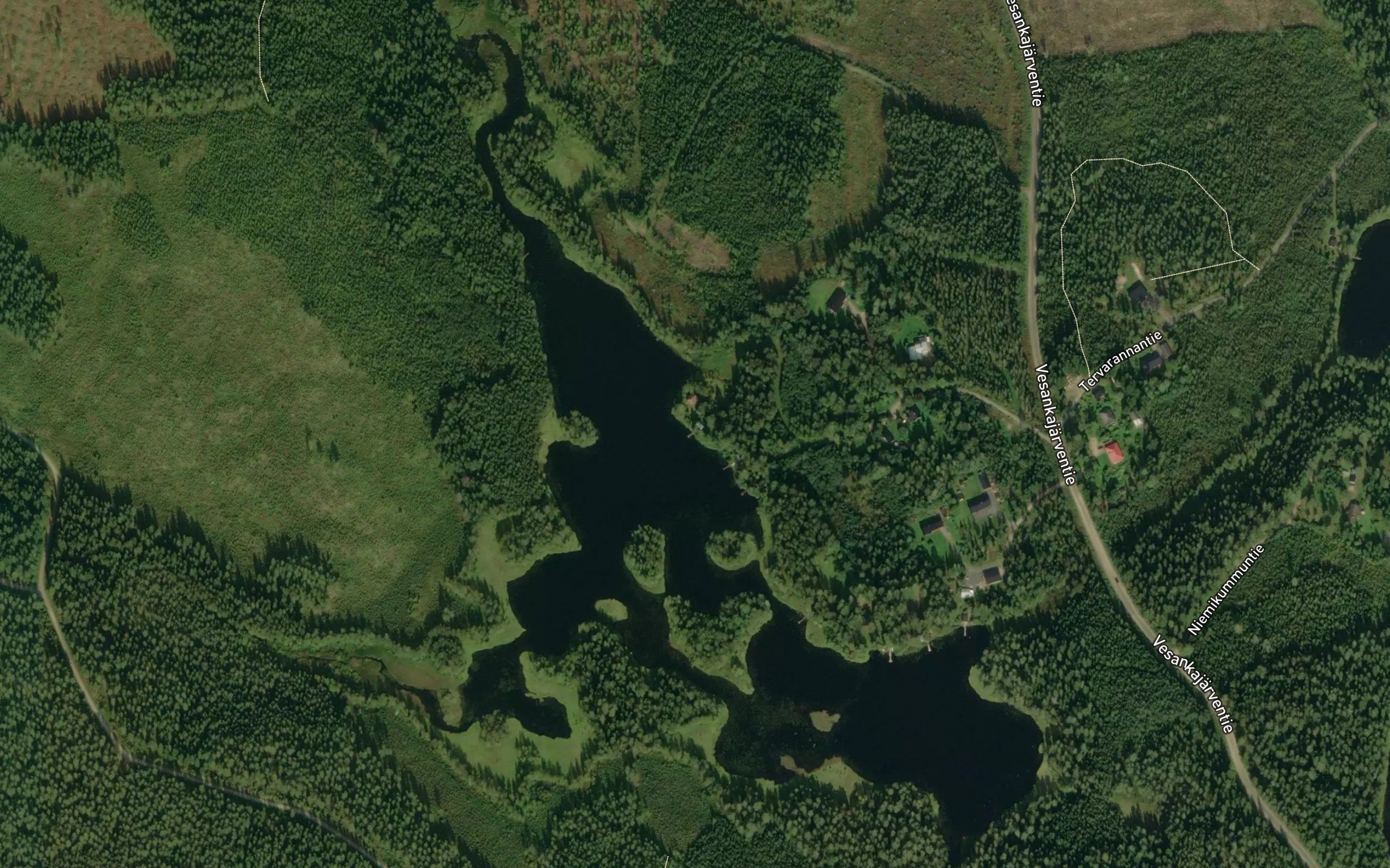 Koveroinen