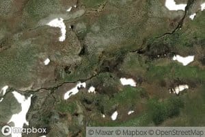 Fielbmajakka
