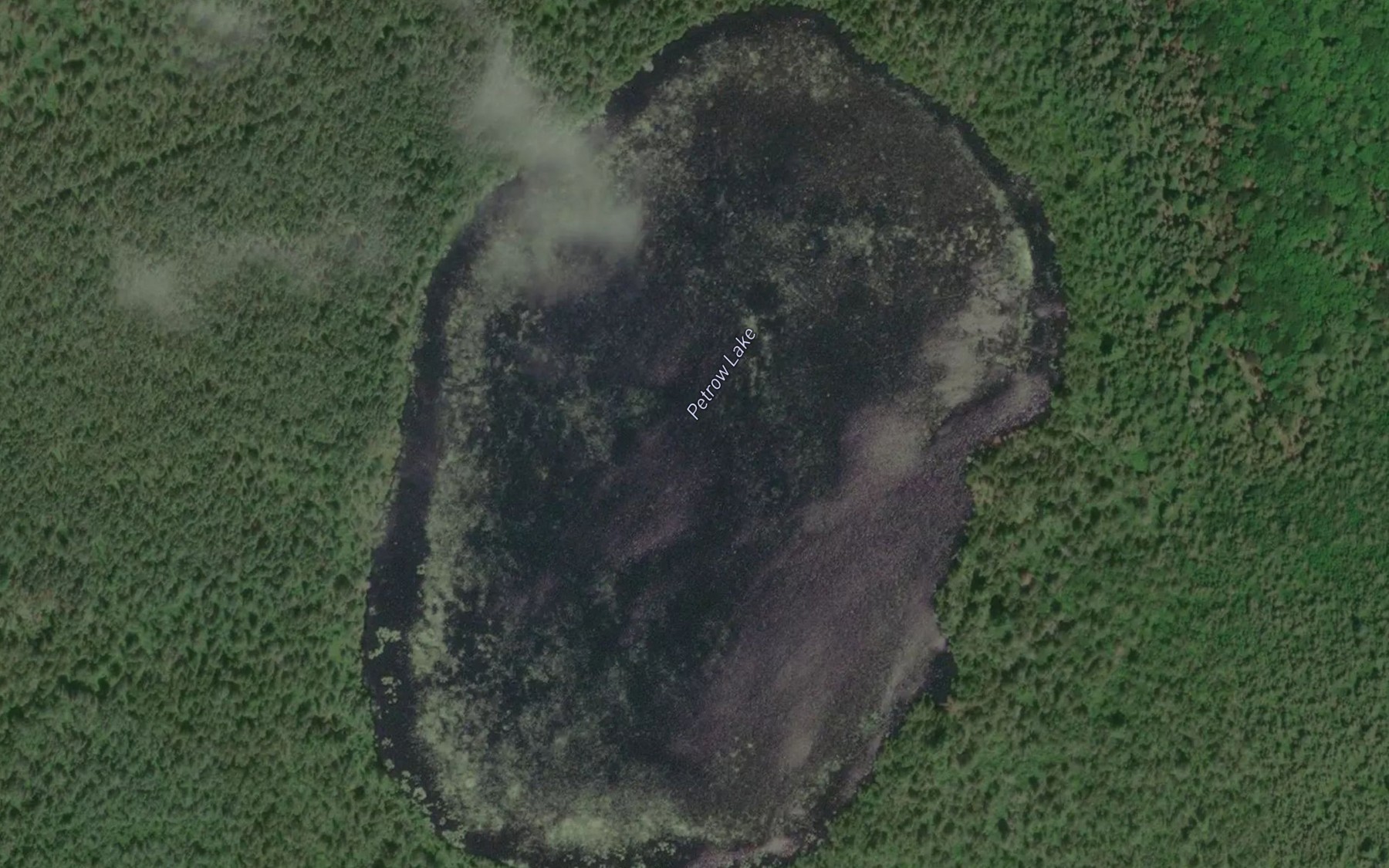 Satellite map of the Petrow Lake