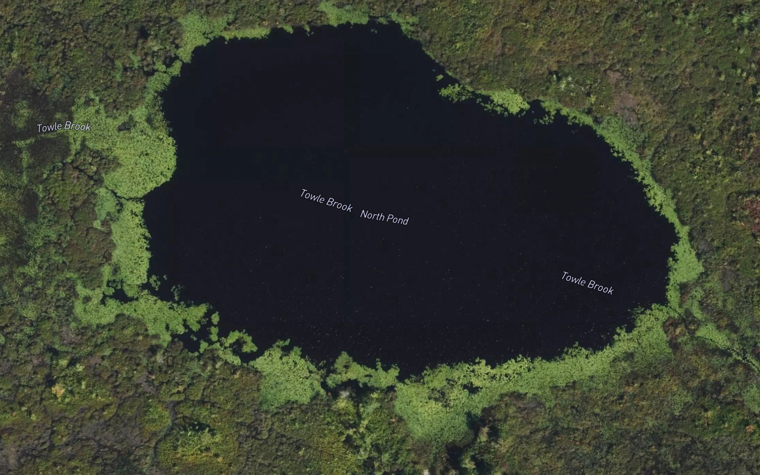 North Pond