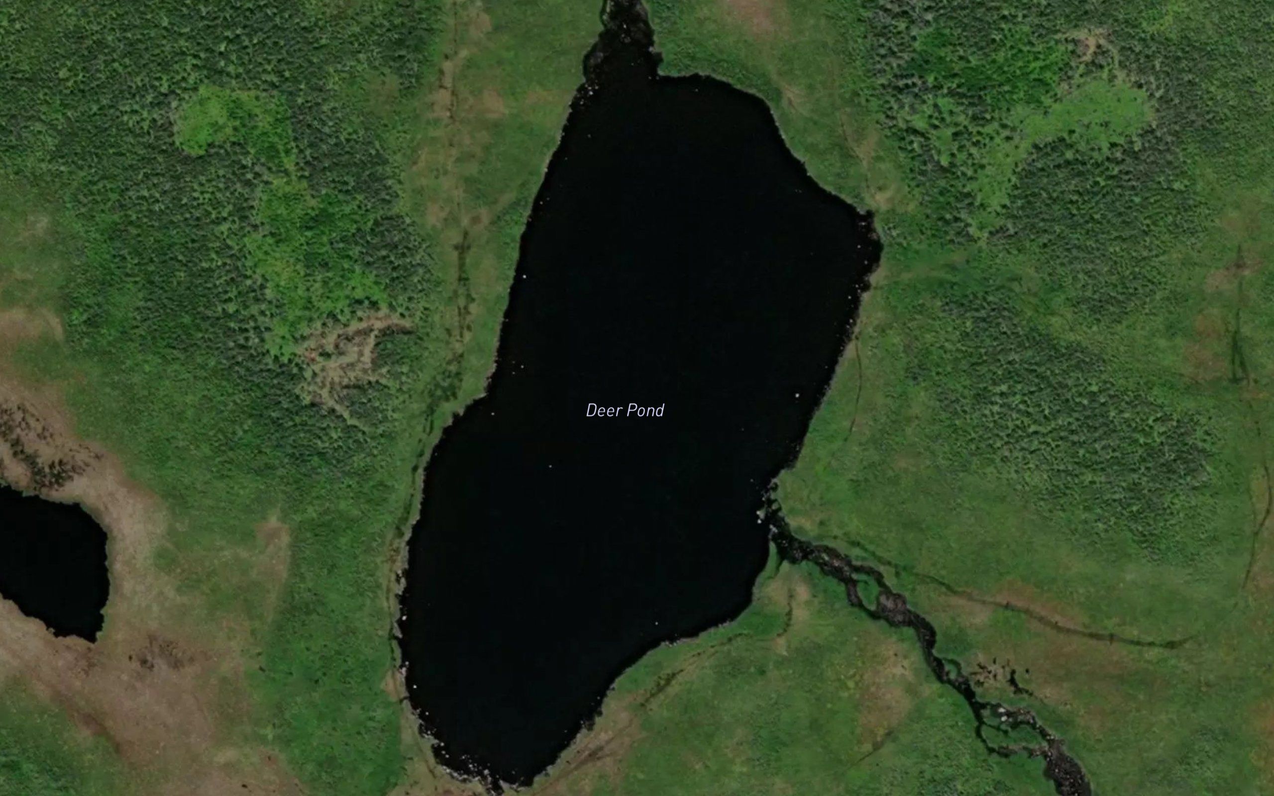Deer Pond