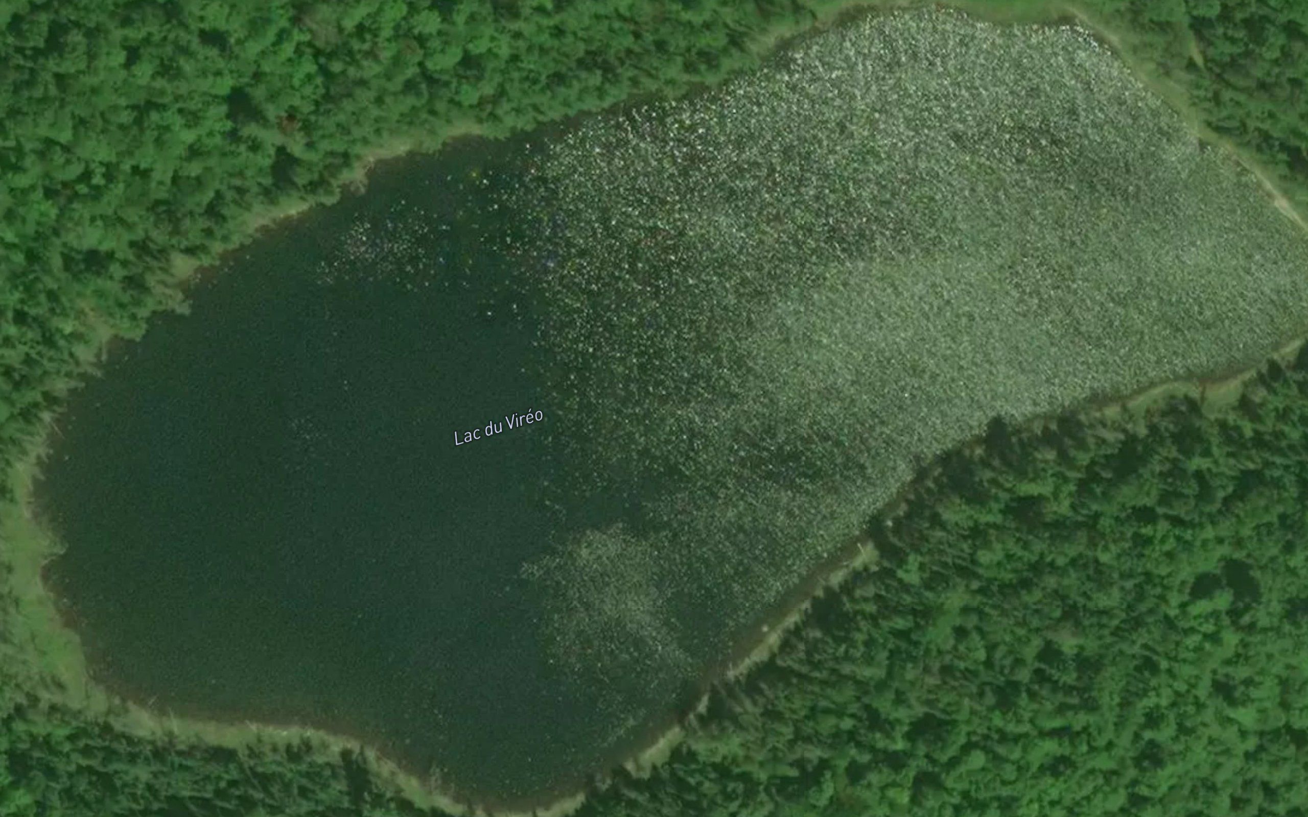 Lac du Vireo