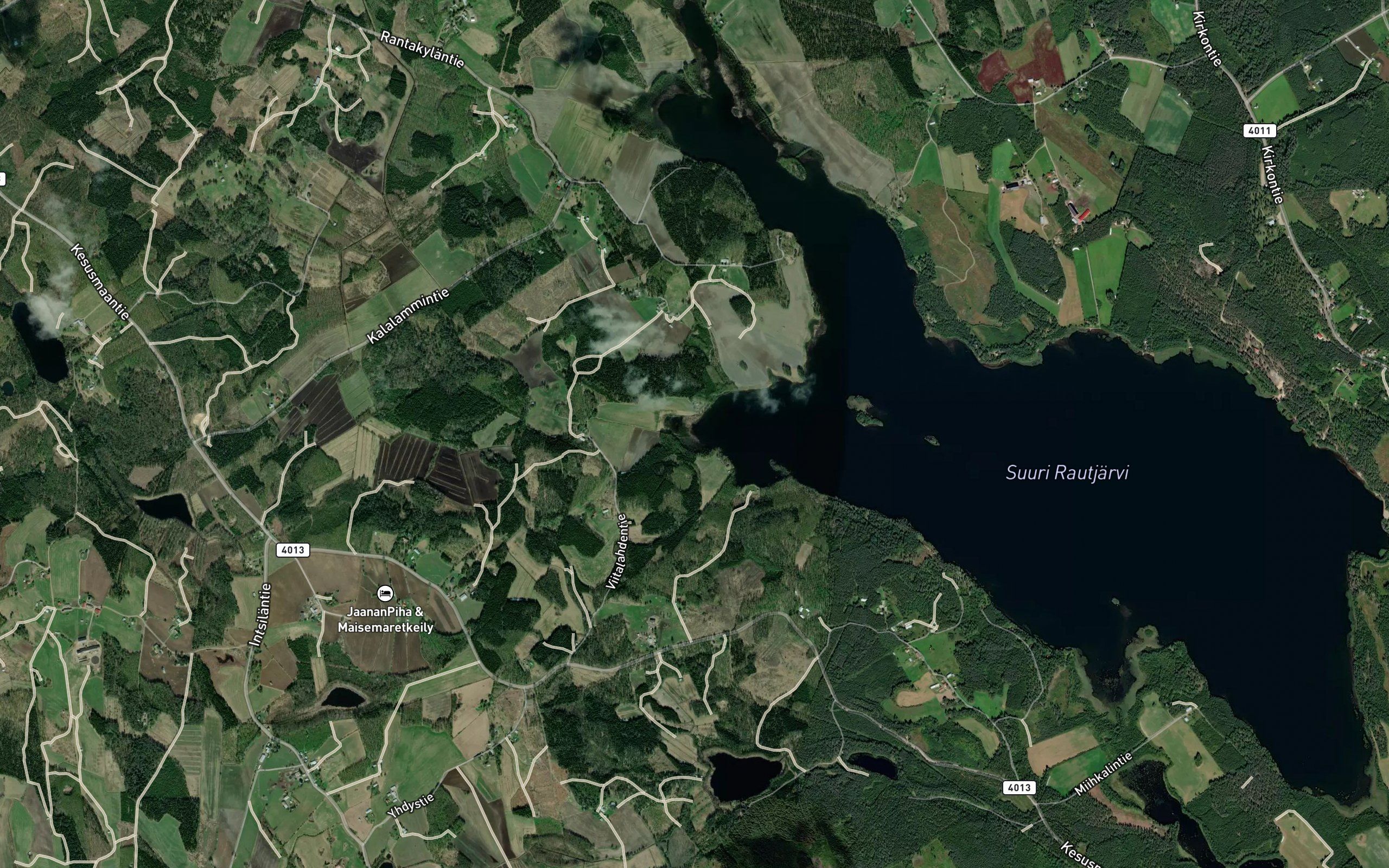 Koljonjoki