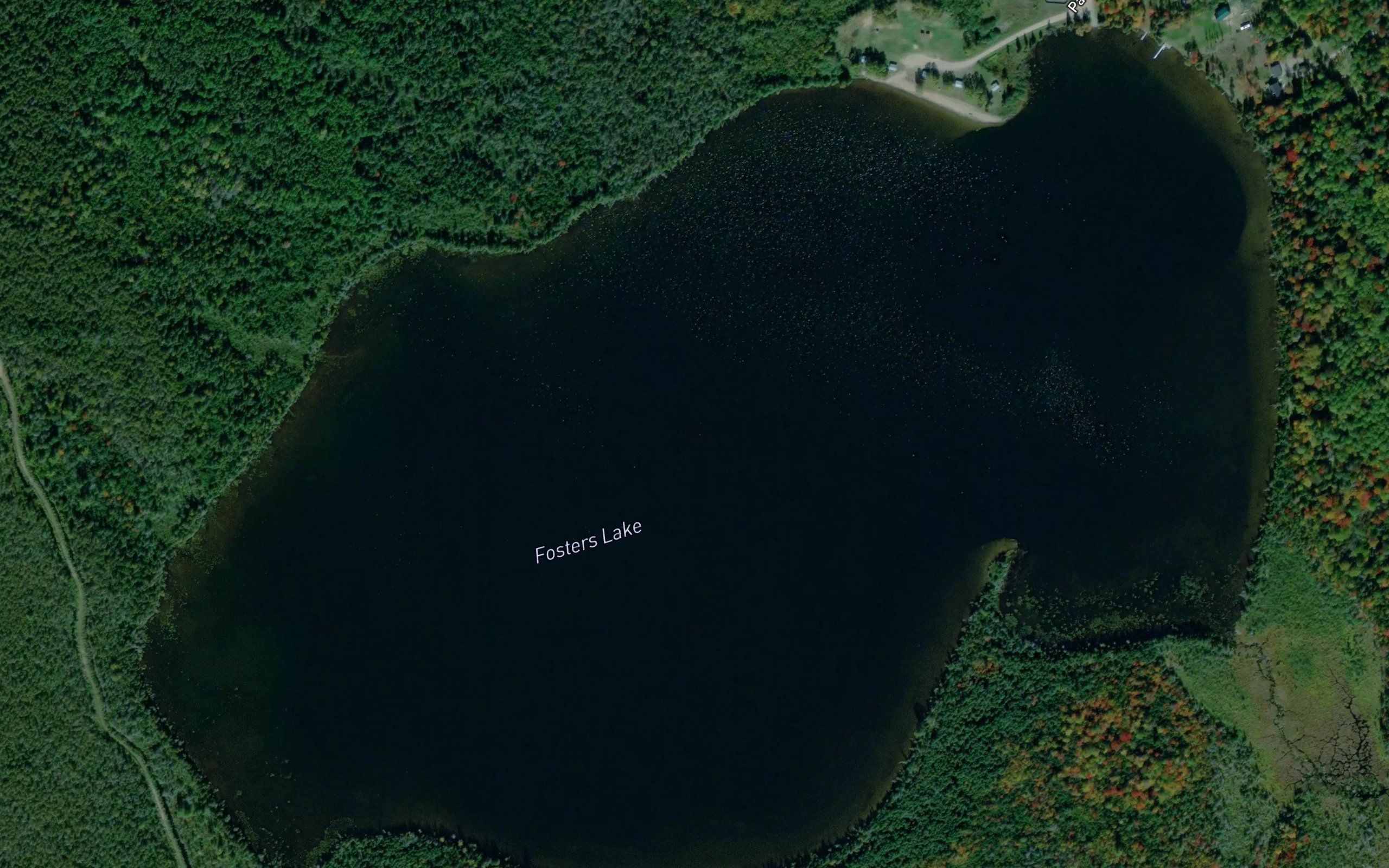 Fosters Lake