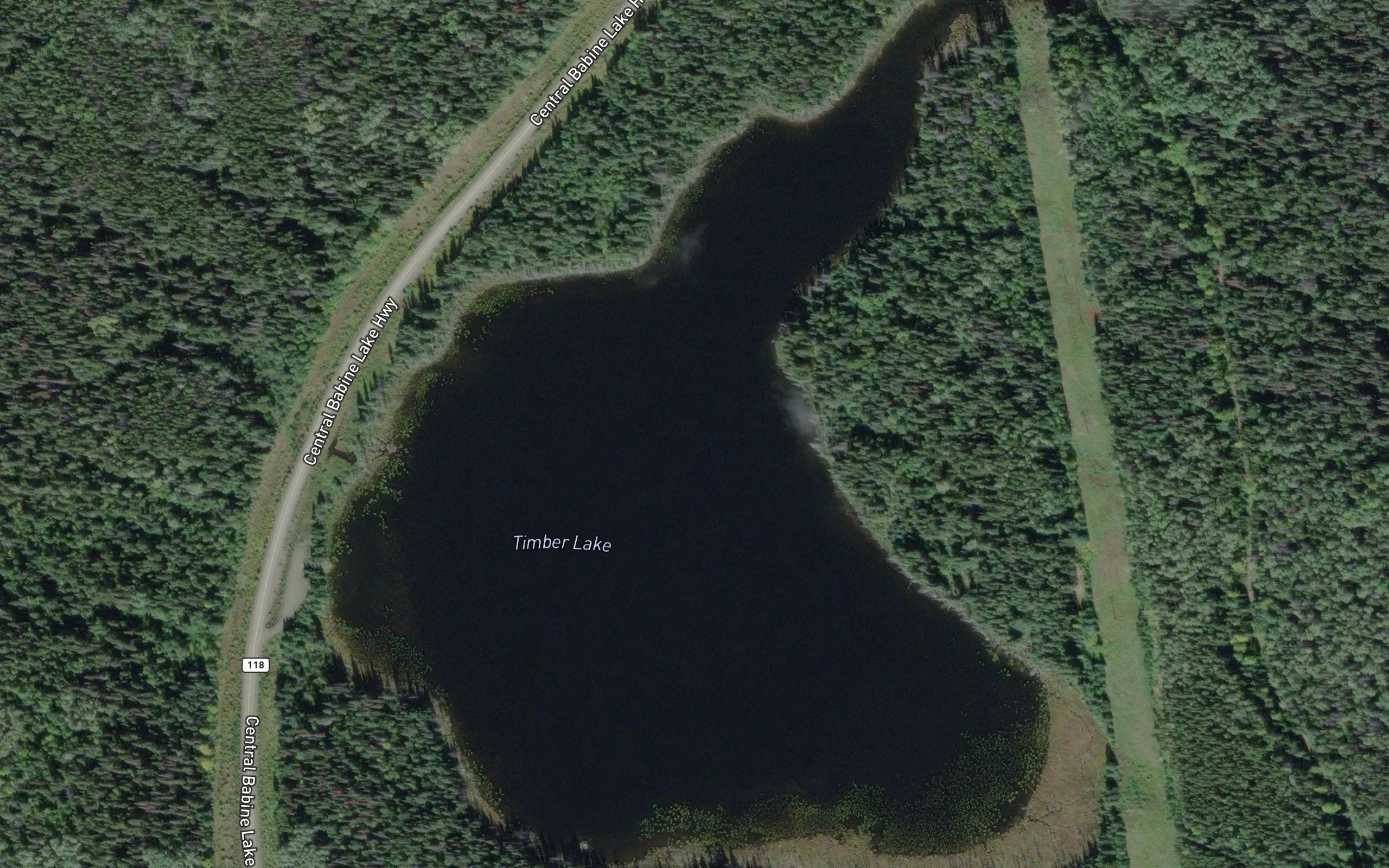 Timber Lake