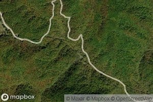 Brushy Ridge Branch