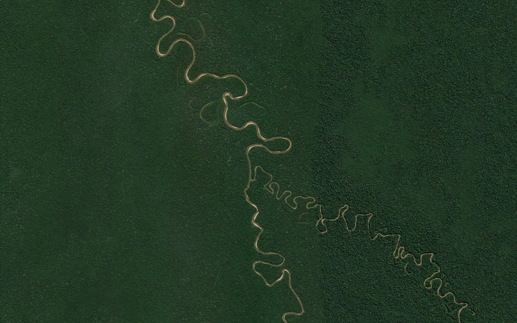 Satellite map of the Rio Shamesho