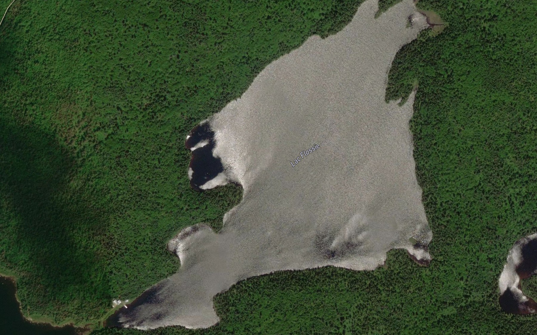 Satellite map of the Lac Flossie