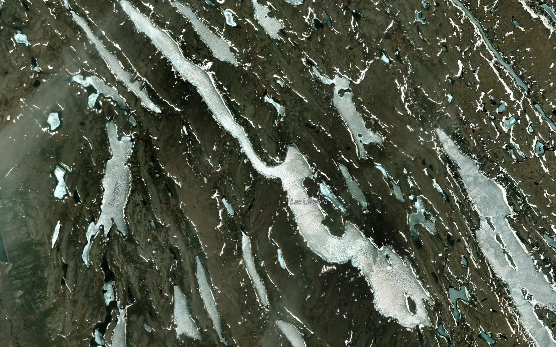Satellite map of the Lac Leopard