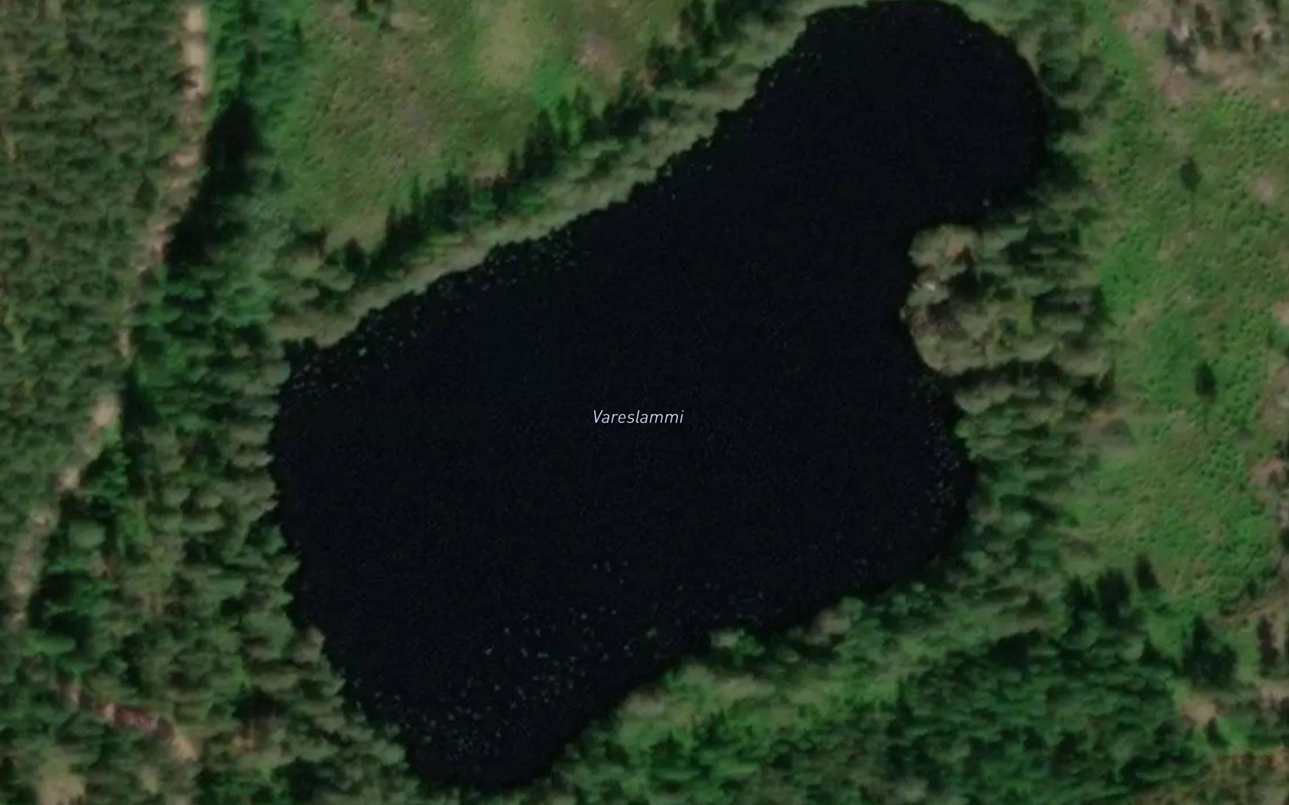 Vareslammi