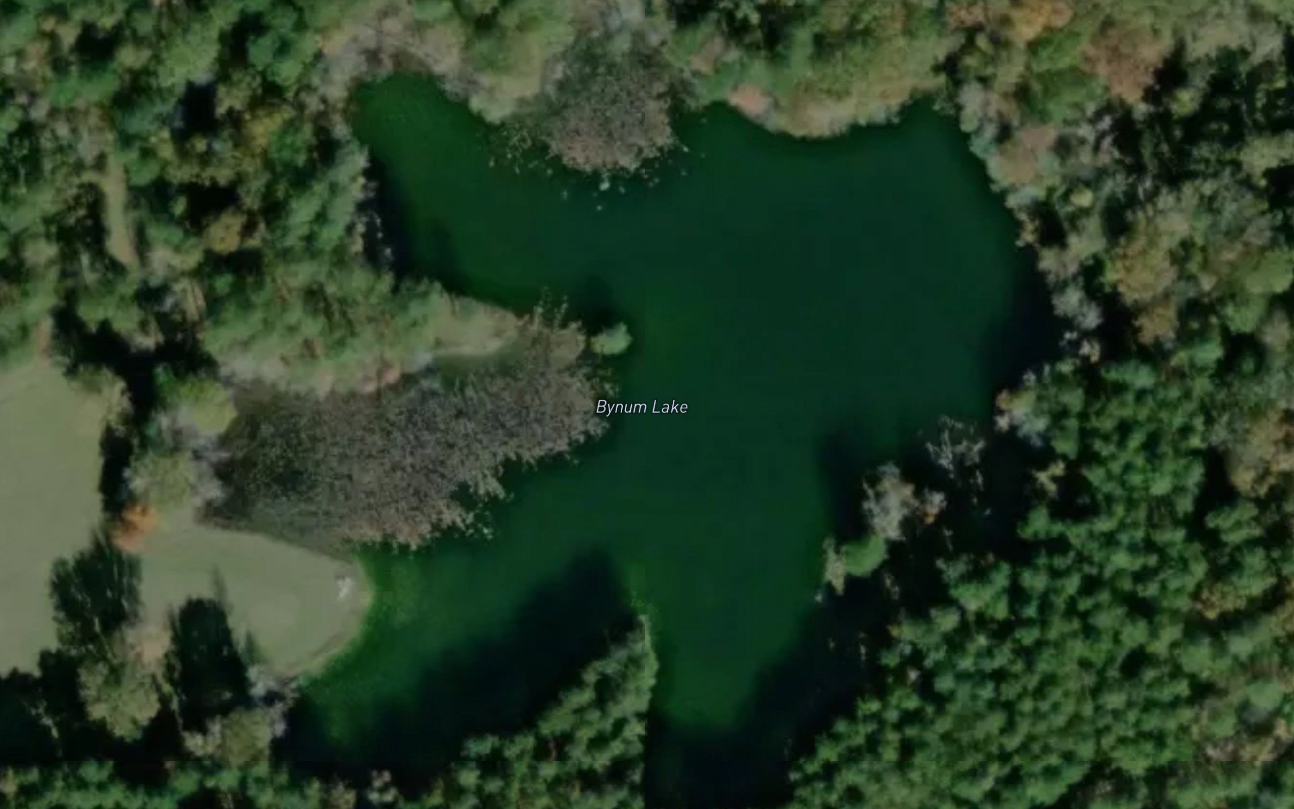Bynum Lake