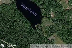 Viitalamminoja