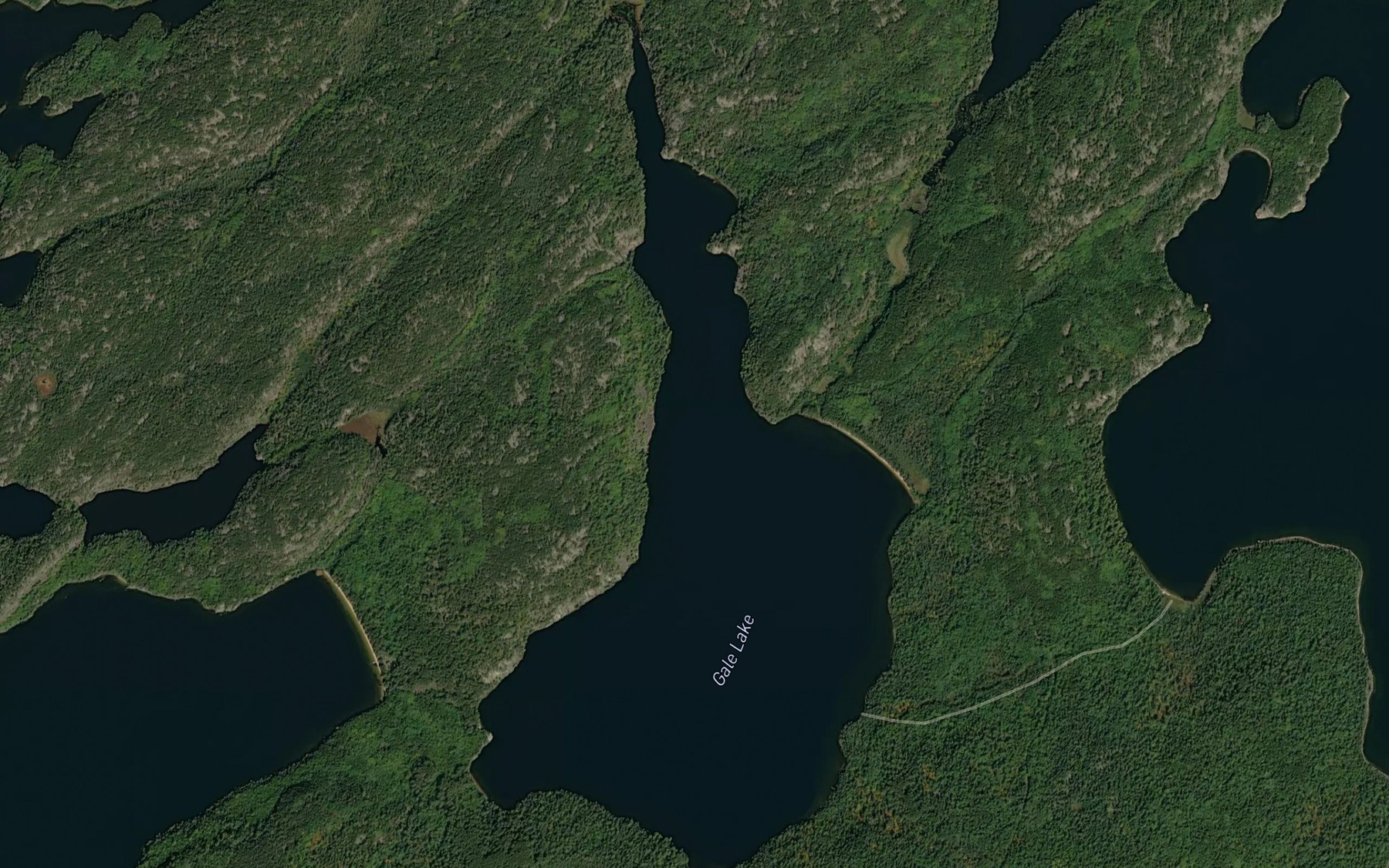 Satellite map of the Gale Lake