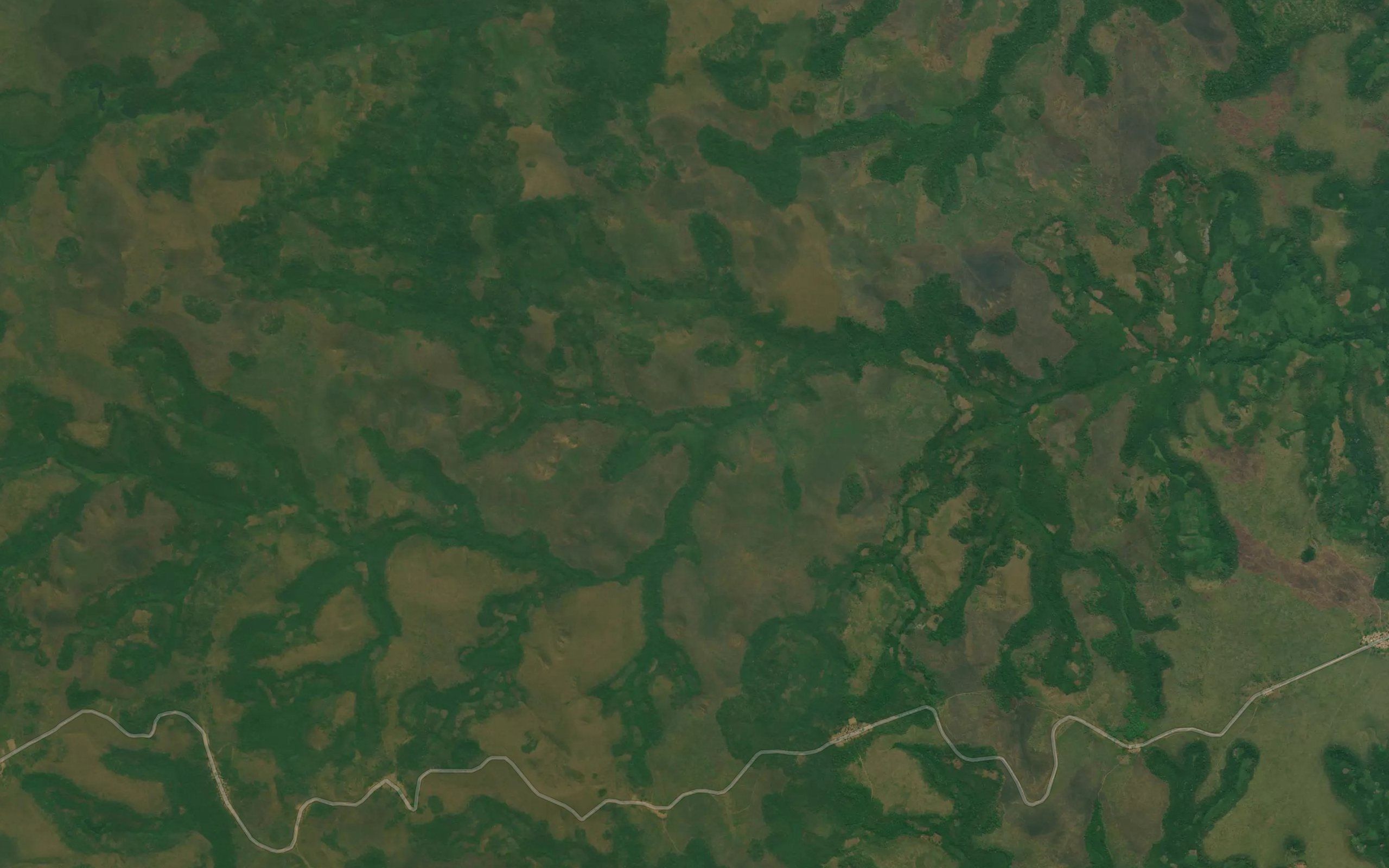 Manzau