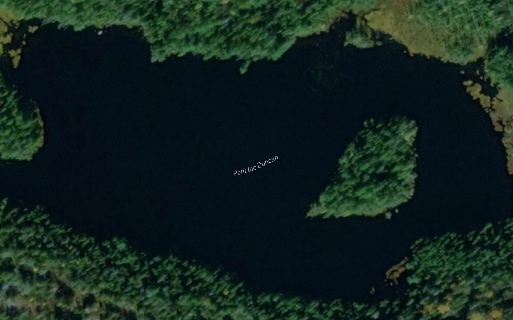 Satellite map of the Petit lac Duncan