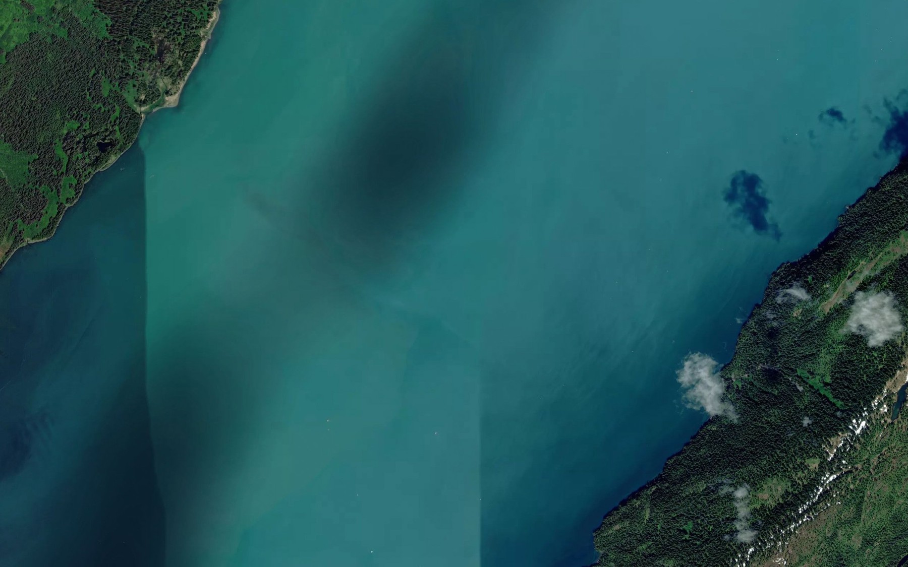 Satellite map of the College Fiord
