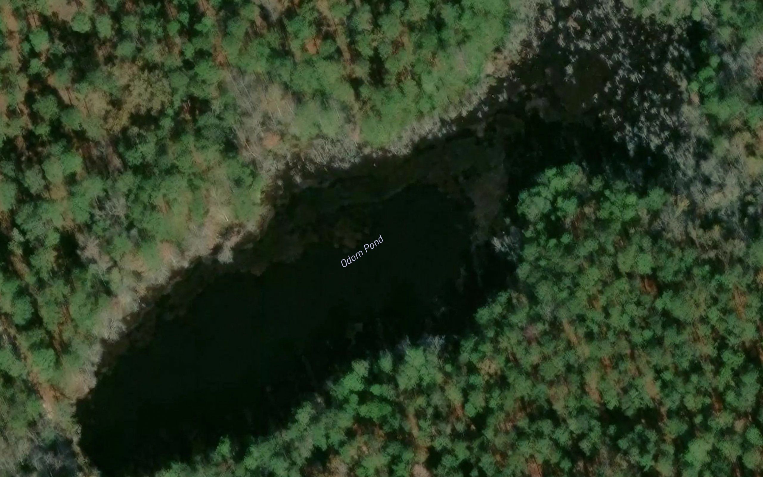 Odom Pond