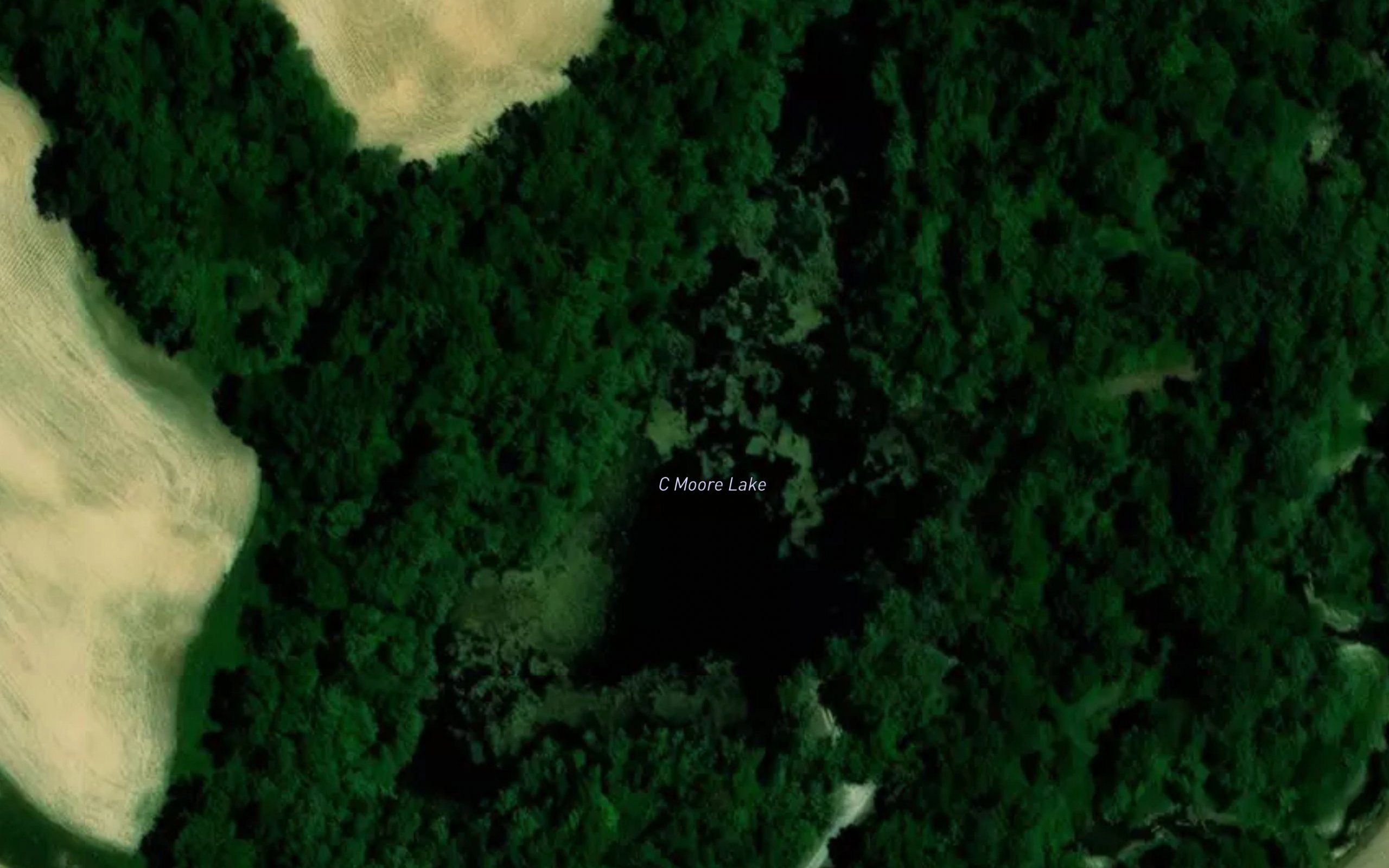 C Moore Lake