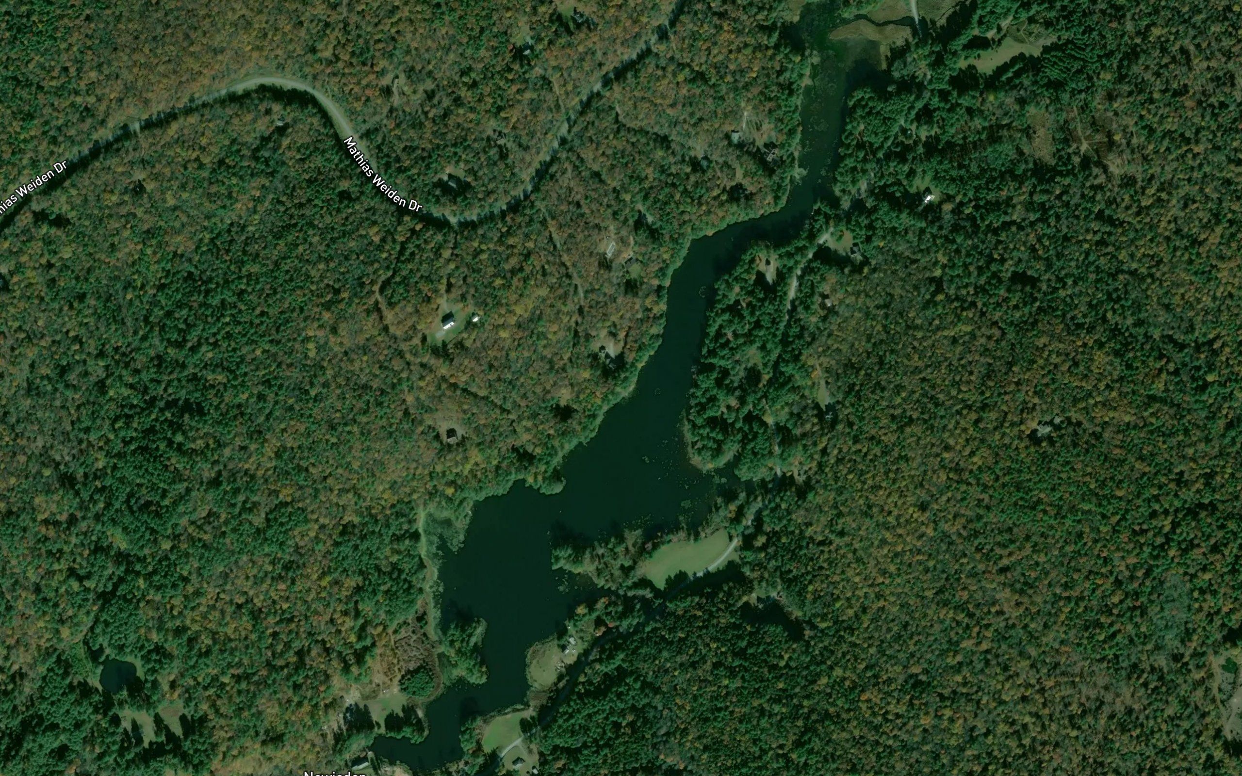 Swamp Pond