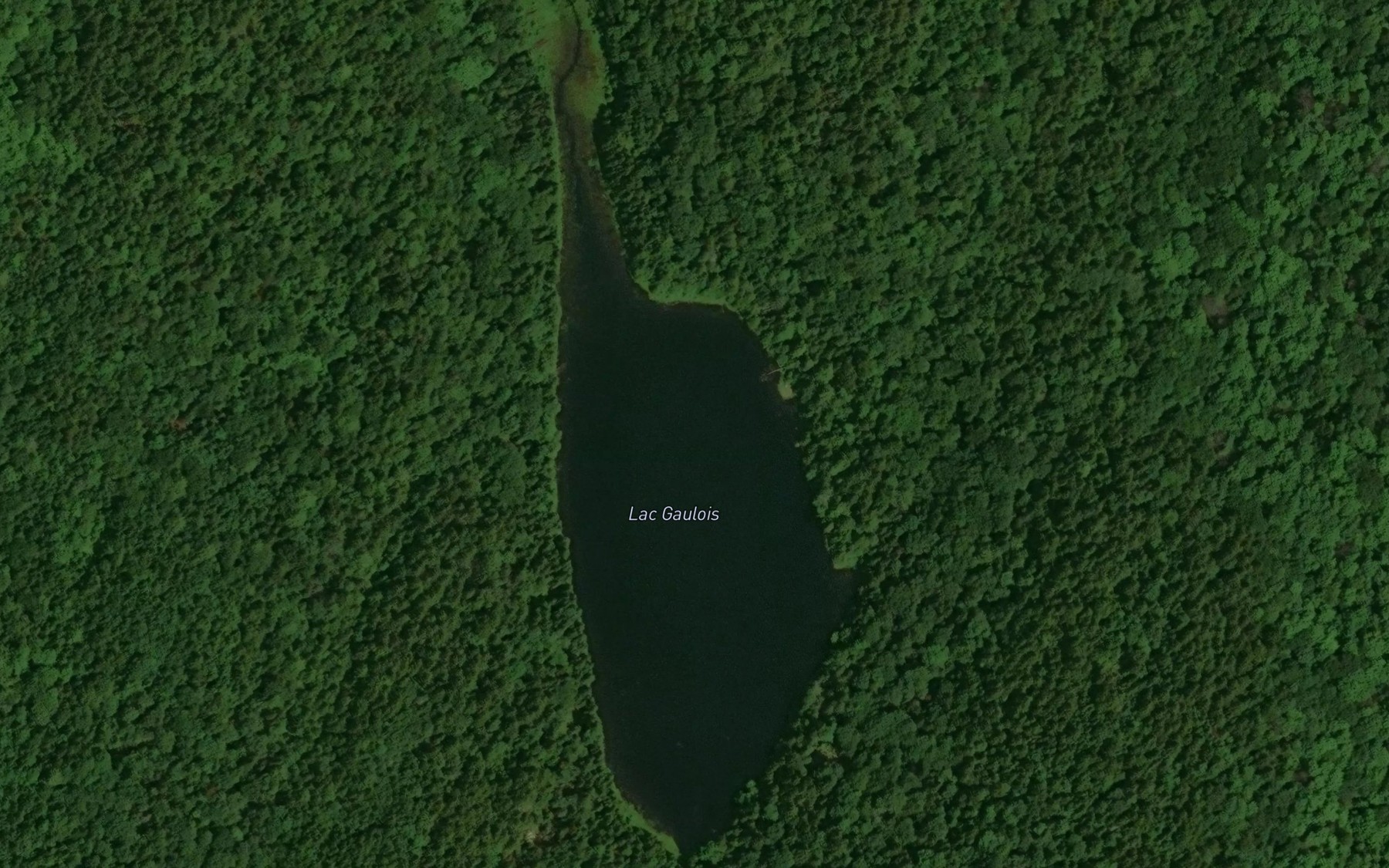 Satellite map of the Lac Gaulois