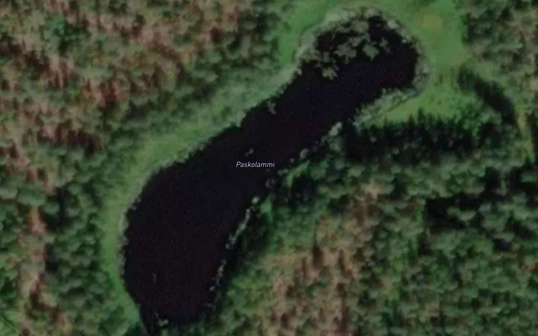 Satellite map of the Paskolammi