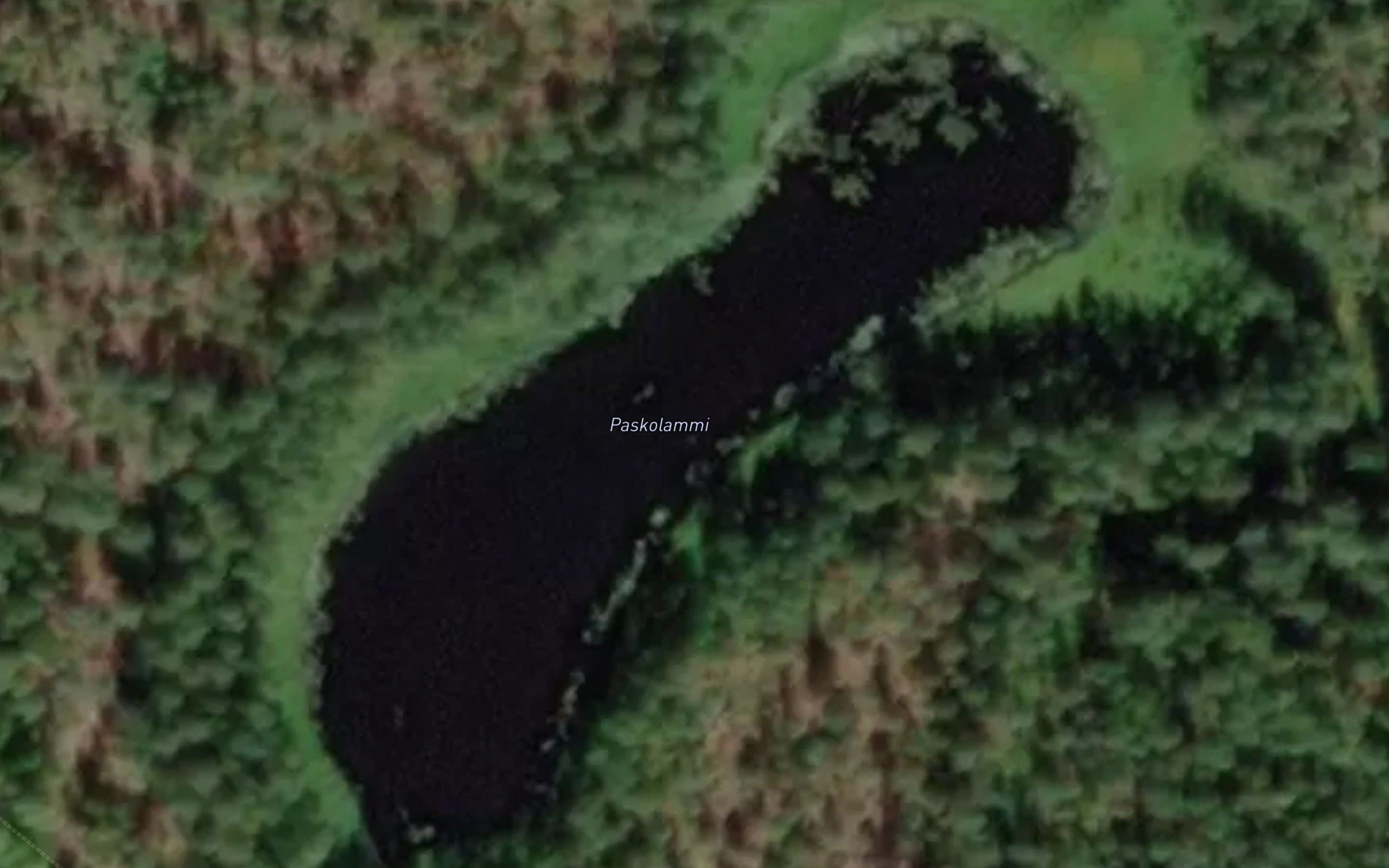 Paskolammi