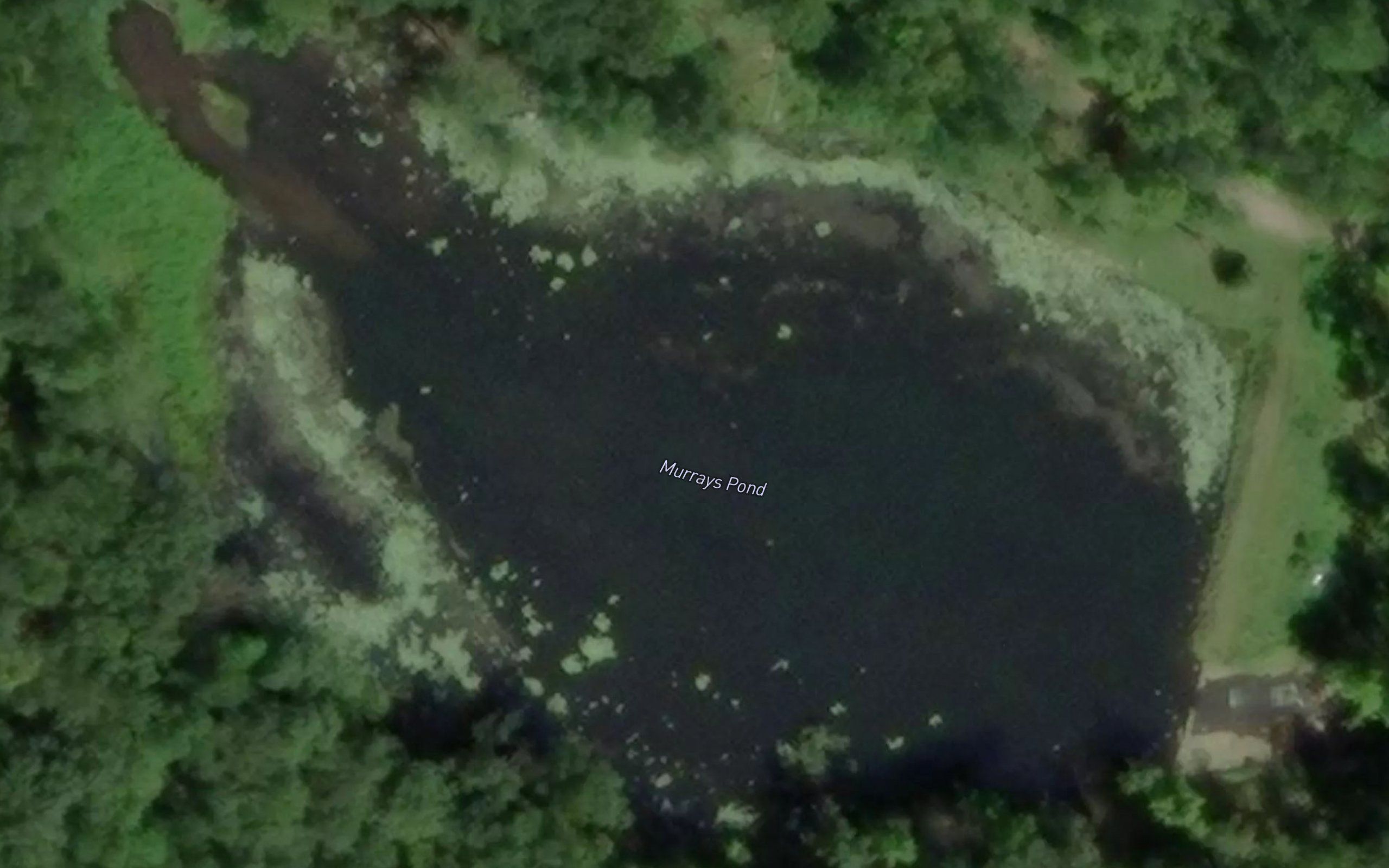 Murrays Pond