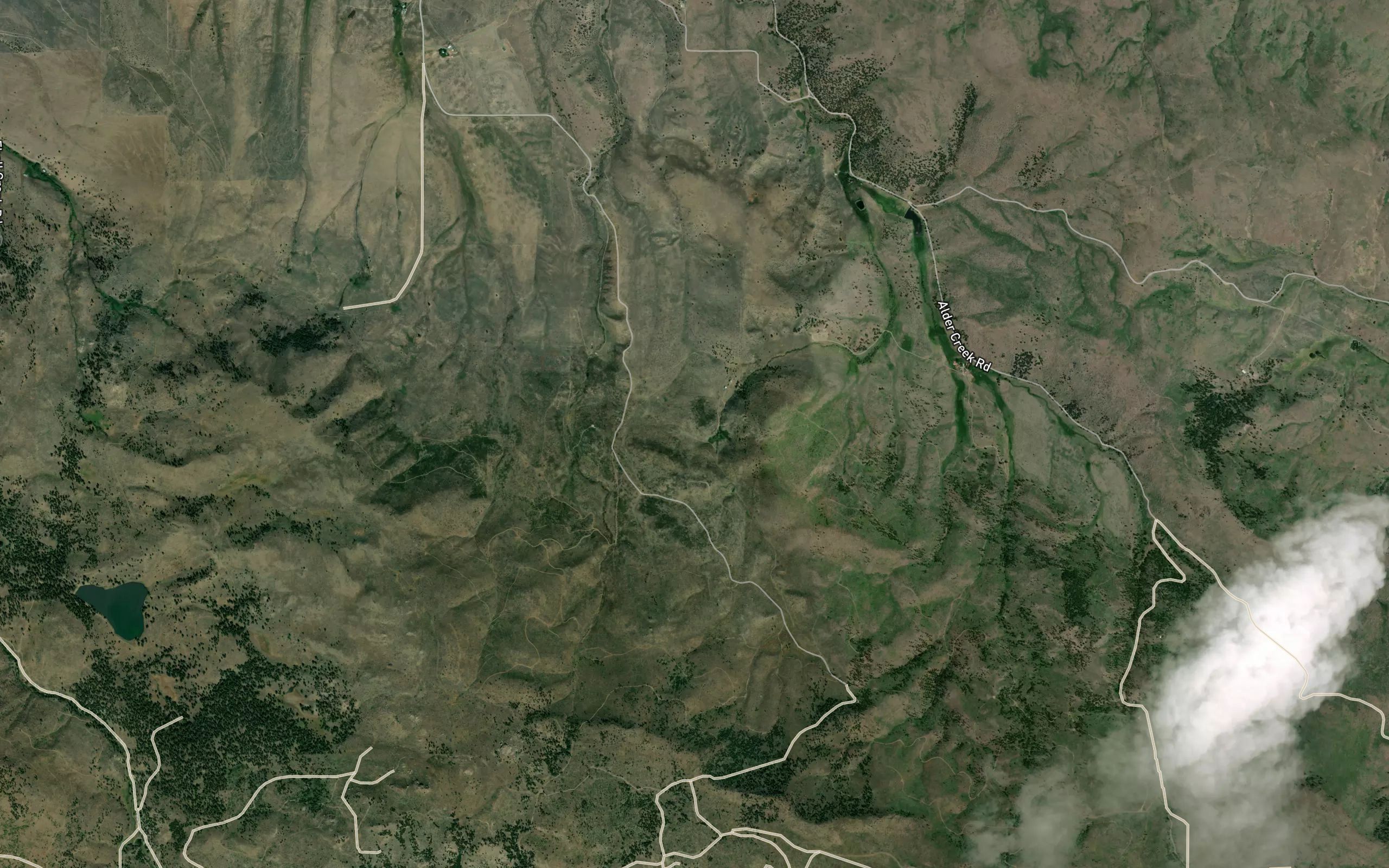 Alder Creek Spring