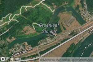 Greenleaf Slough