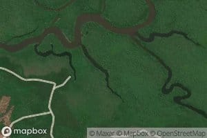 Muddy Lake