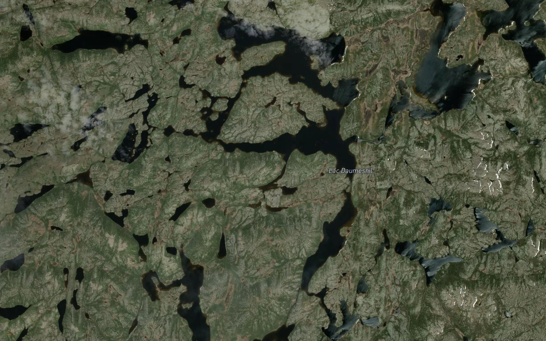 Satellite map of the Lac Daumesnil