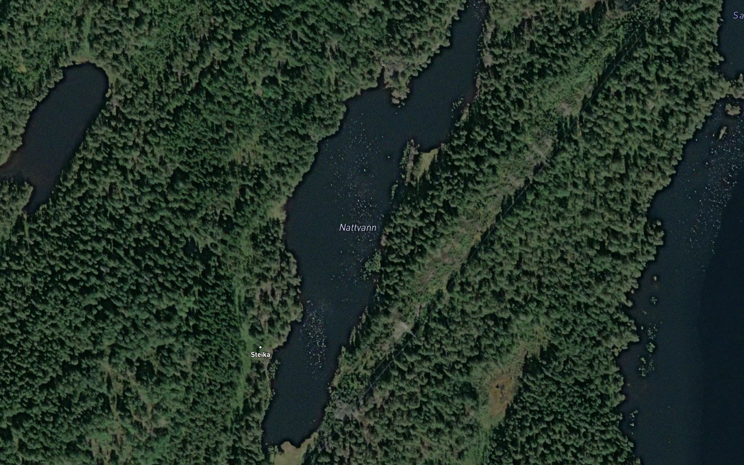 Nattvann