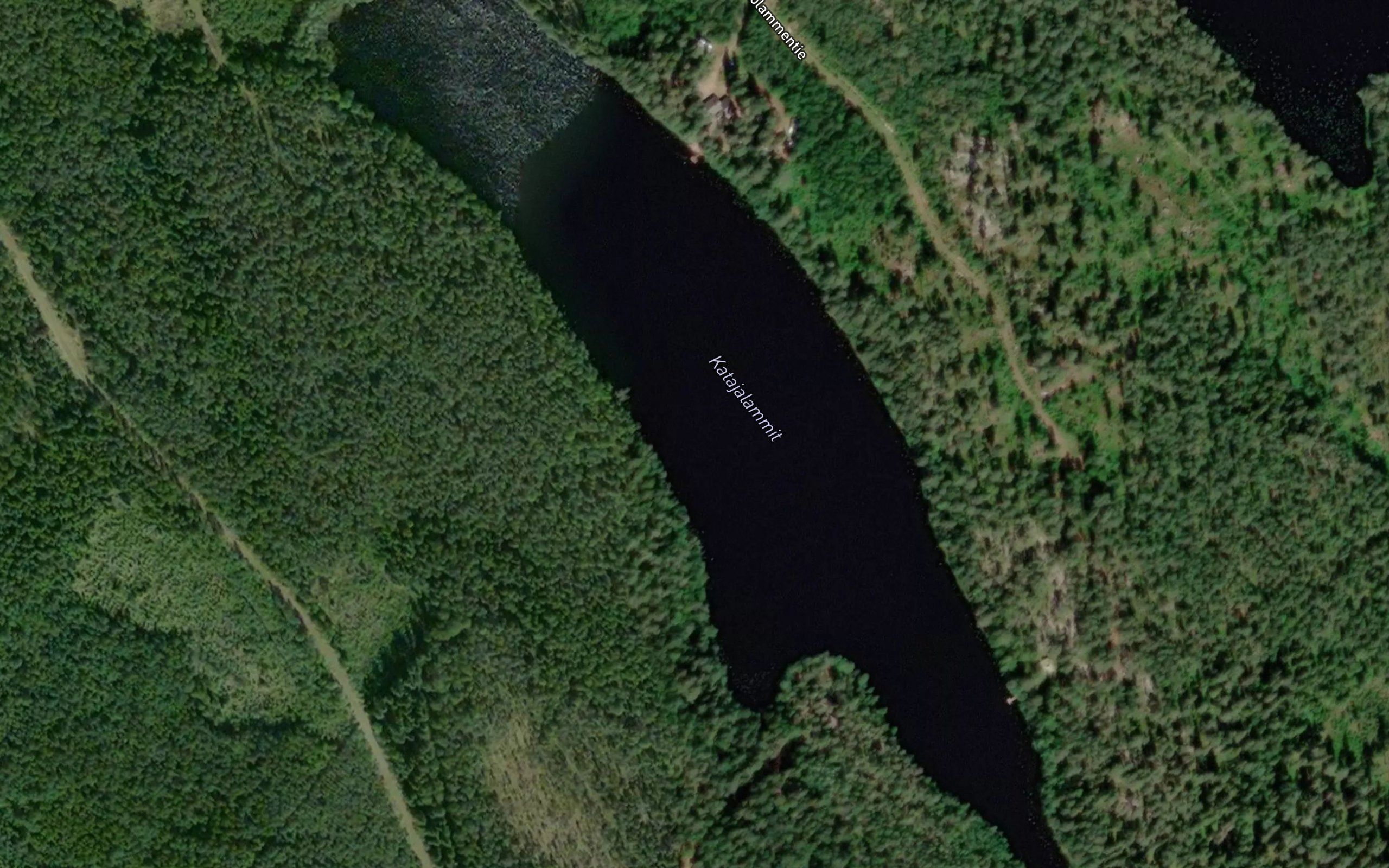 Kalliolammit