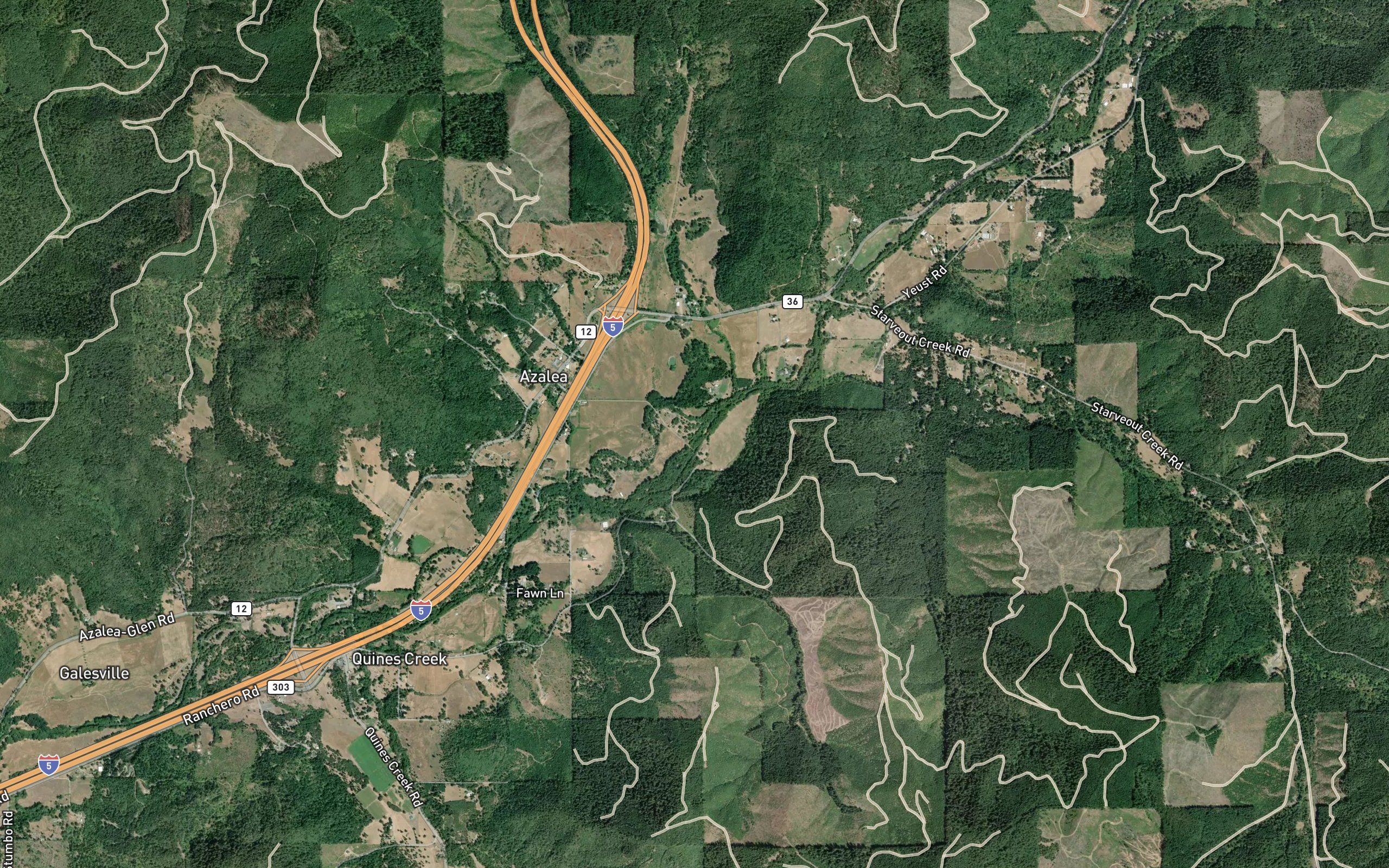 Niday Branch Cow Creek